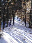 Looking East, above Wildlife Pond