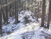 Looking East, above Wildlife Pond