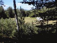 Field, with mountain in background