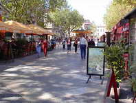 Main street of Avignon