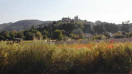 Scene in Viviers