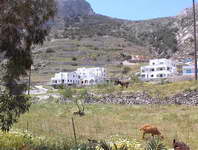 hiking Archaia Thira