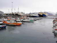 Reykjavik Harbor