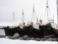 Retired whalers