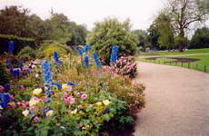Near Buckingham Palace.