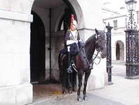 Horse guard