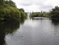 Parks