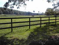 Middle Road