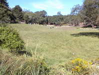 Middle Road