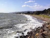 Tapu Coast