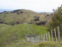 near Coromandel