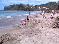 Hot Water Beach
