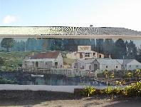 Katikati