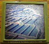 Aerial view of kiwi orchards