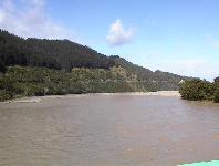 Opotiki