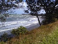 Waihau Bay