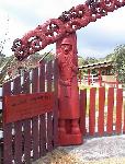 after Whangaparoa