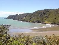 Te Araroa