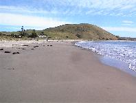 the beach