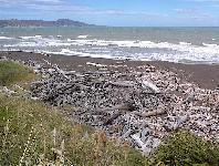 Mahia Peninsula