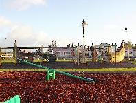 Dannevirke