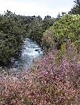 Tawhai Falls in Tongariro Park