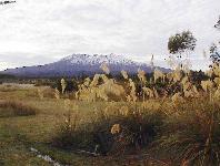 Mt Ruapehu