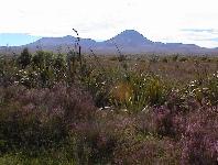 Mt Ngauruhoe