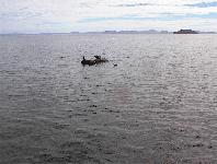 Lake Taupo