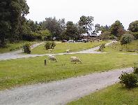 The Barn campground