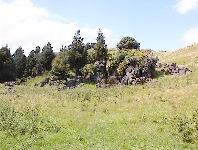 Near Natural Bridge