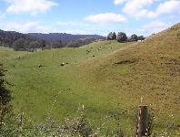 Near Natural Bridge