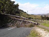 near Kawhia