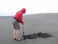 Kawhia - Hot water beach