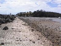 Sandspit