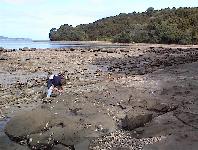 Sandspit