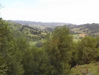 to Pakiri