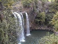Whangarei Falls
