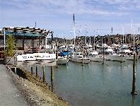 Tutukaka