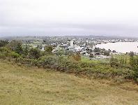 Dargaville