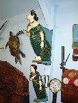 Dargaville Museum