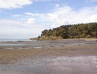South Head - Mosquito Beach