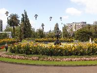 Albert Park