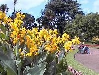 Albert Park