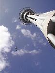 Sky Tower - Bungee