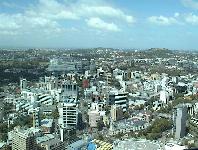 Sky Tower view