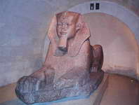 sphynx.